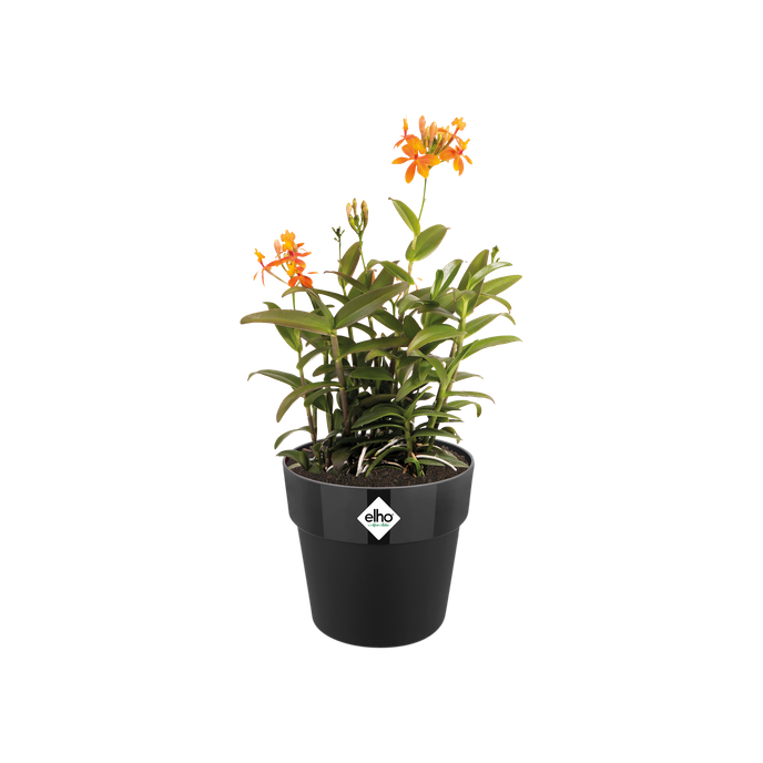 b.for original rund 18cm living schwarz